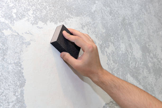 Best Environmental Consulting for Mold Prevention  in Ottawa Hills, OH