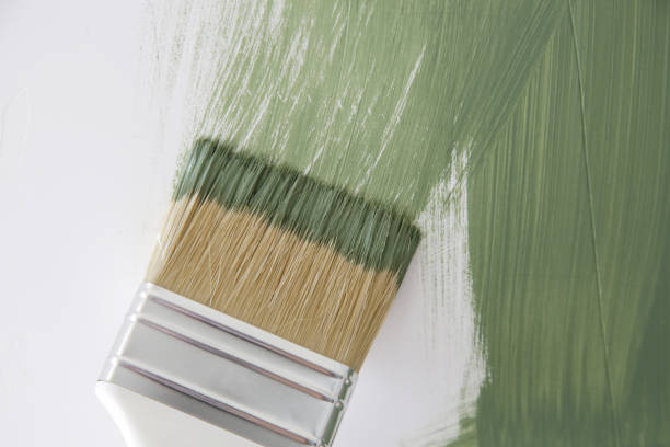 Best Mold Odor Removal Services  in Ottawa Hills, OH