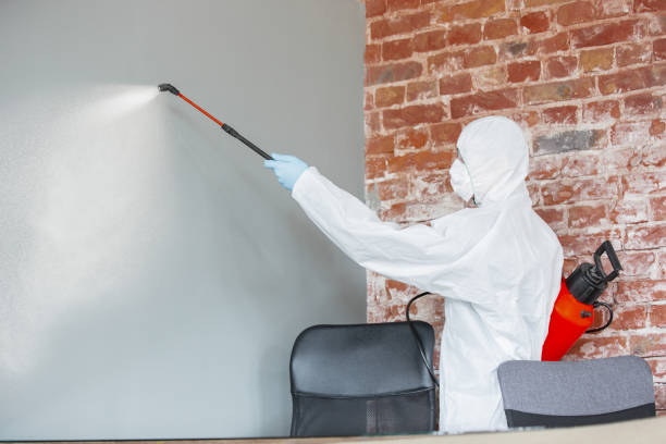 Dehumidification Services in Ottawa Hills, OH