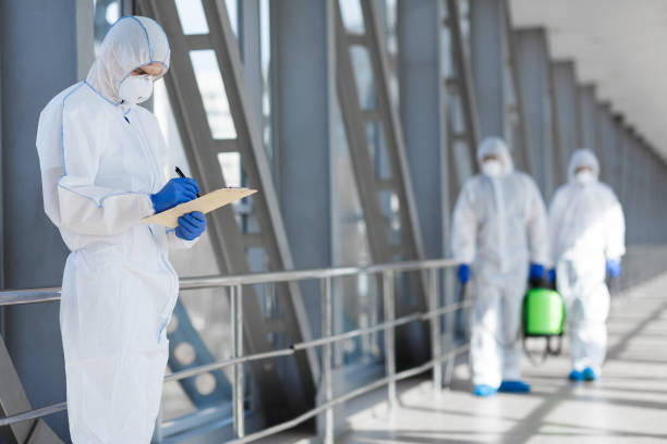 Best Water Damage & Mold Remediation  in Ottawa Hills, OH