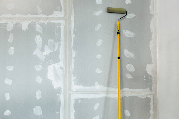 Professional Mold Removal in Ottawa Hills, OH