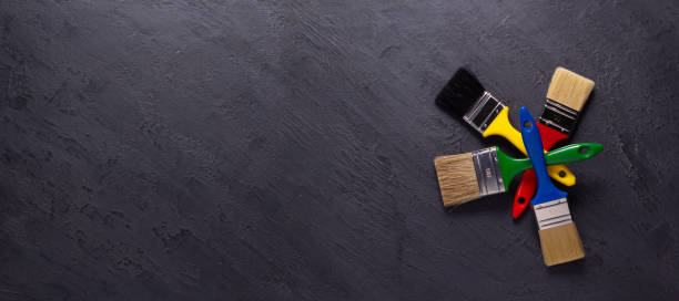 Best Black Mold Removal  in Ottawa Hills, OH