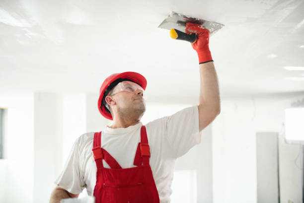Best Crawl Space Mold Remediation  in Ottawa Hills, OH