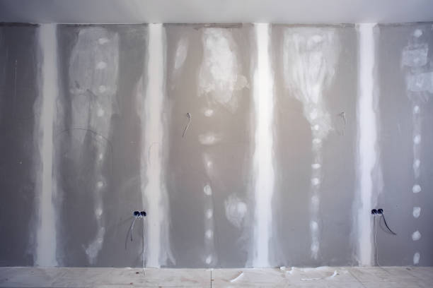 Best Basement Mold Removal  in Ottawa Hills, OH